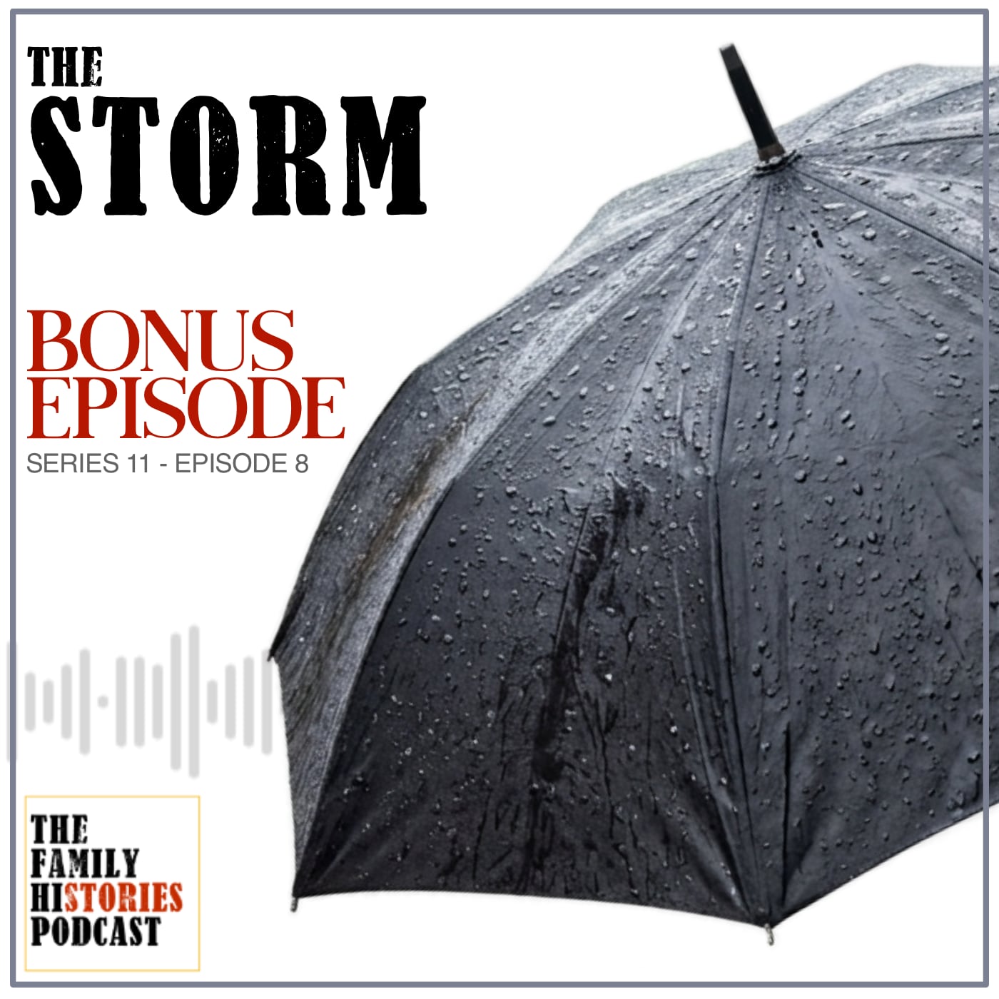 S11EP08 – ‘The Storm’ (Bonus)